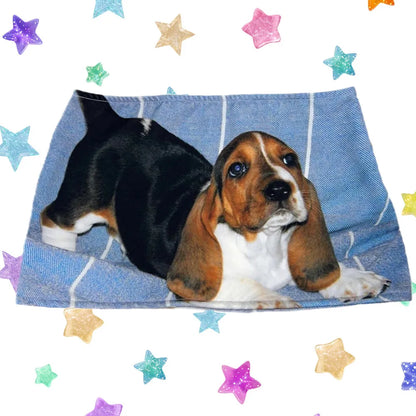 Cat skirts